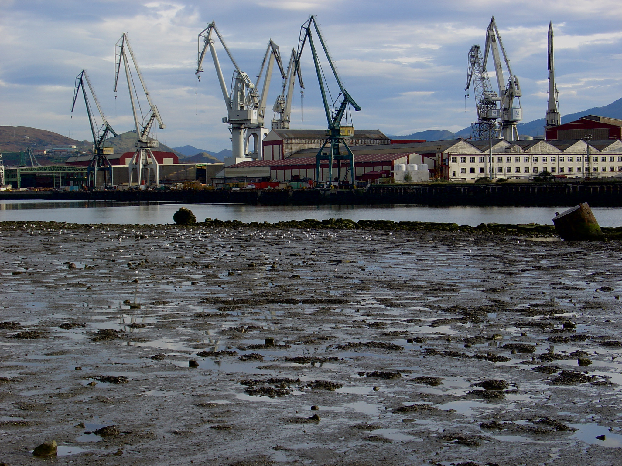 conservacion del medio marino en el estuario del nervion bizkaia