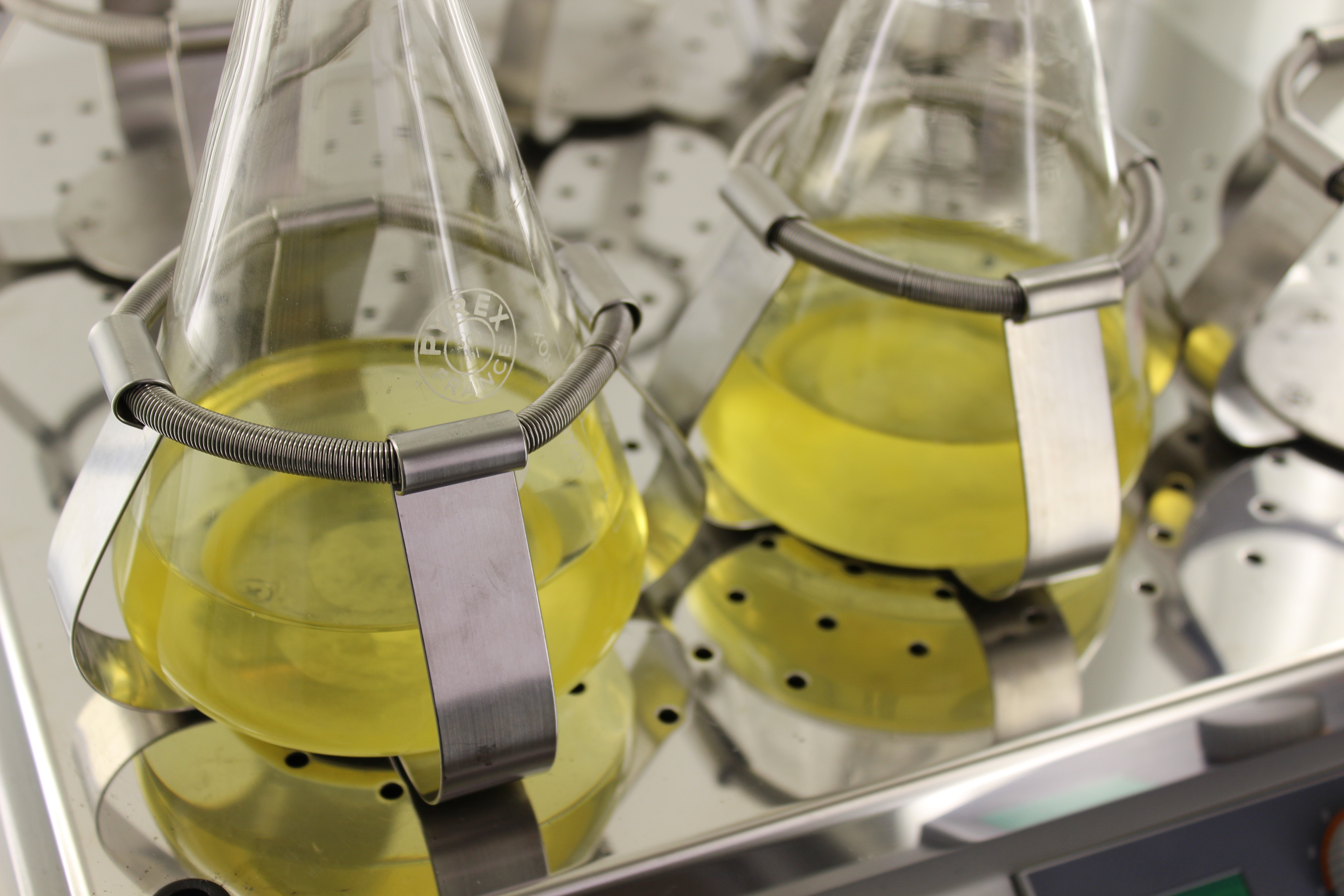 microalgas en la industria alimentaria