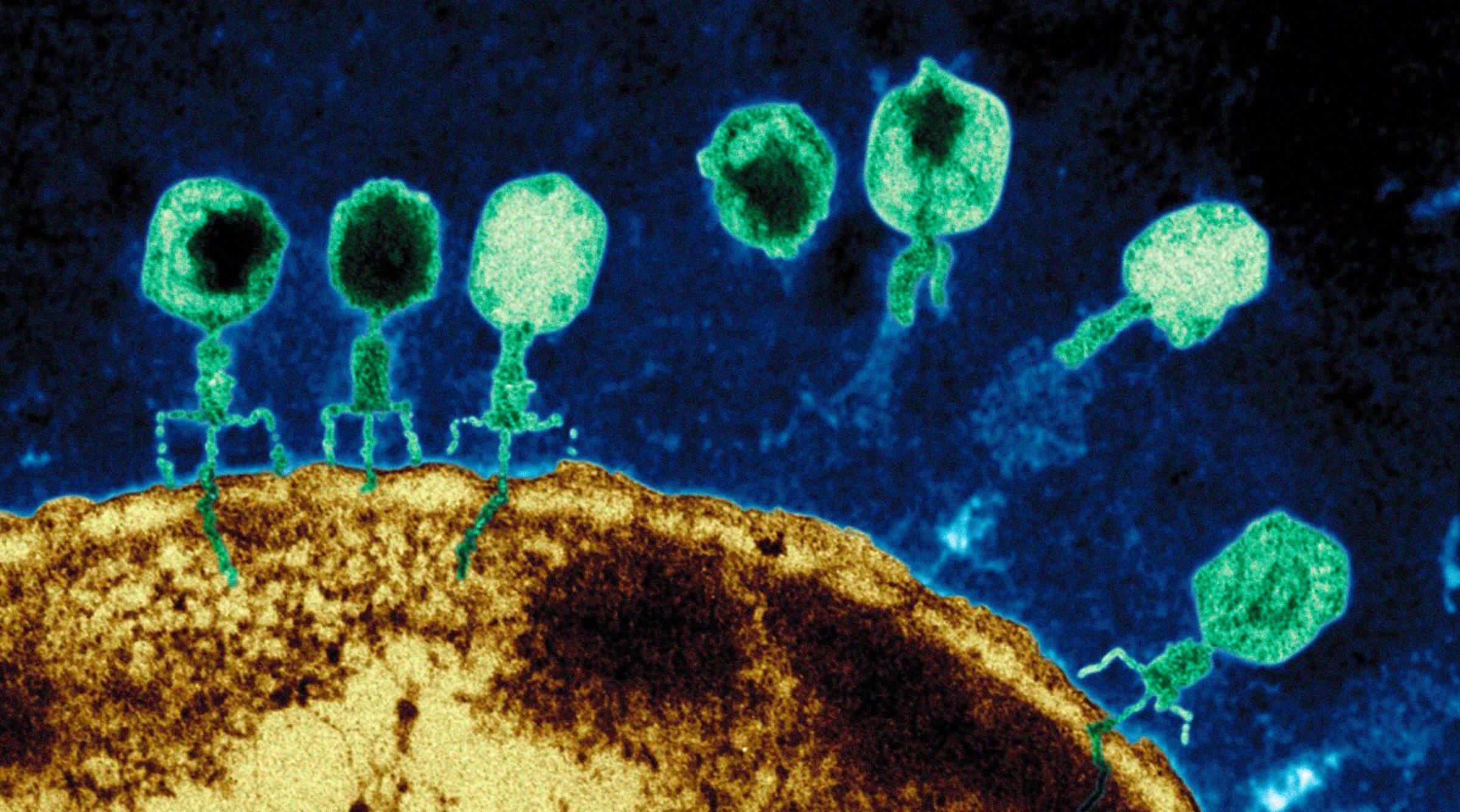 intoxicaciones alimentarias