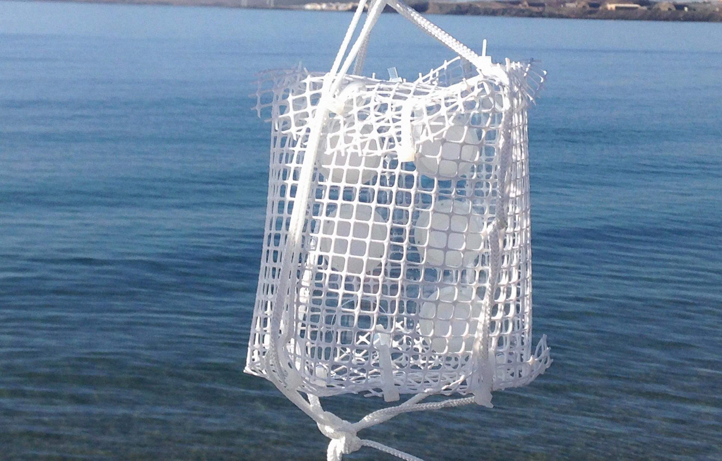 evaluacion del estado quimico de las aguas