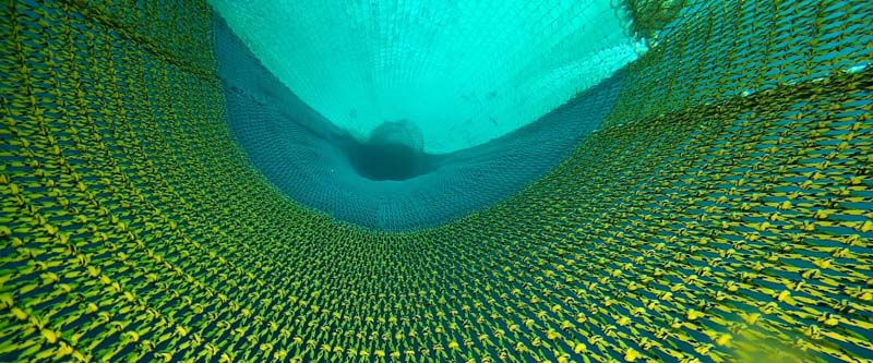 Mejora_selectividad_artes_ pesca_y_reduccion_descartes