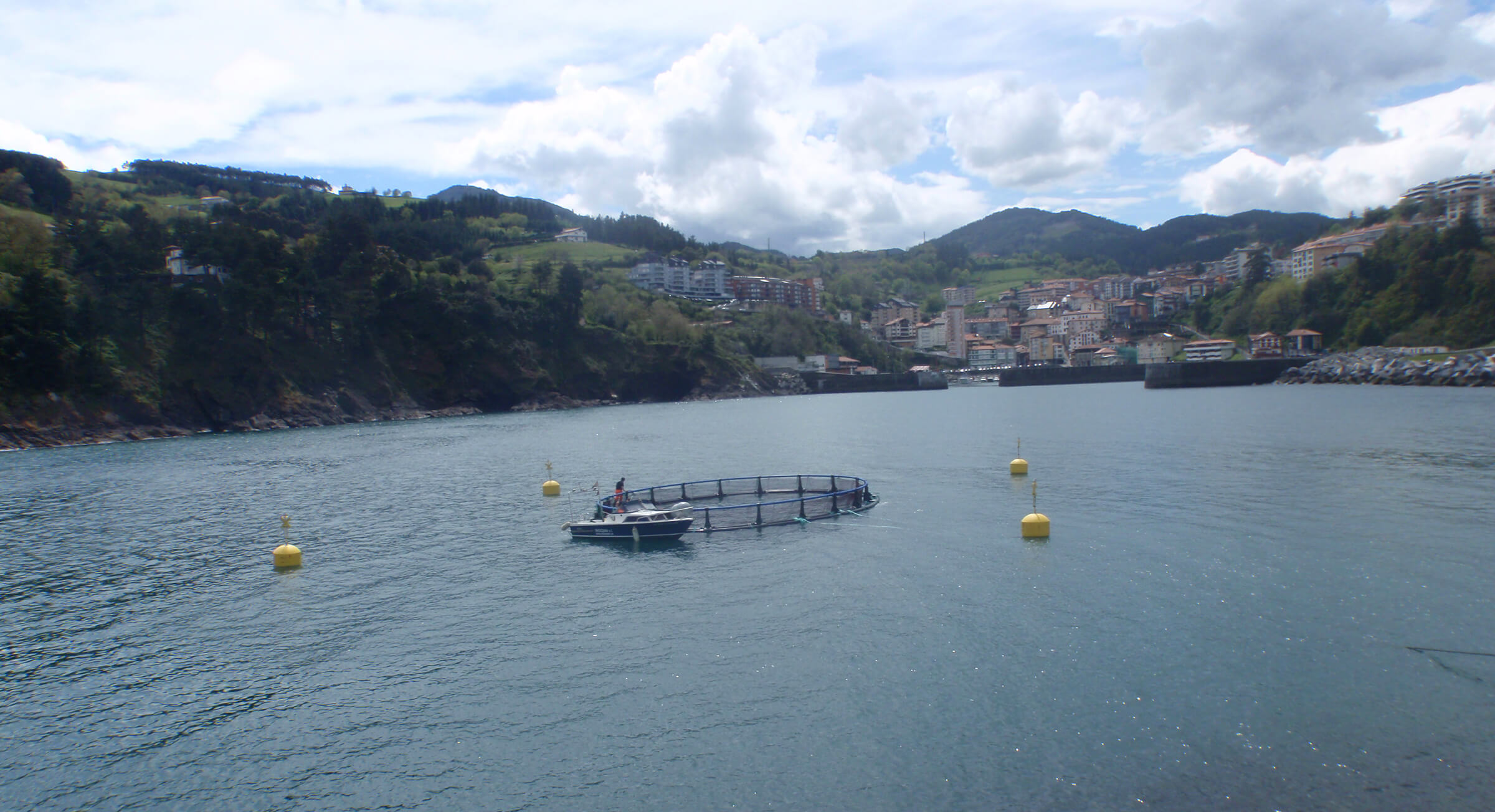 acuicultura en la mar