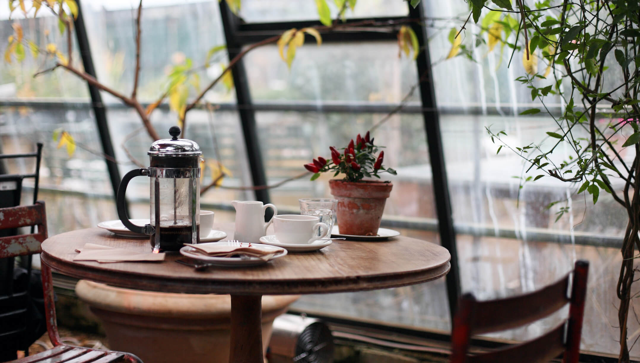 table-cafe-coffee-flower-restaurant-home