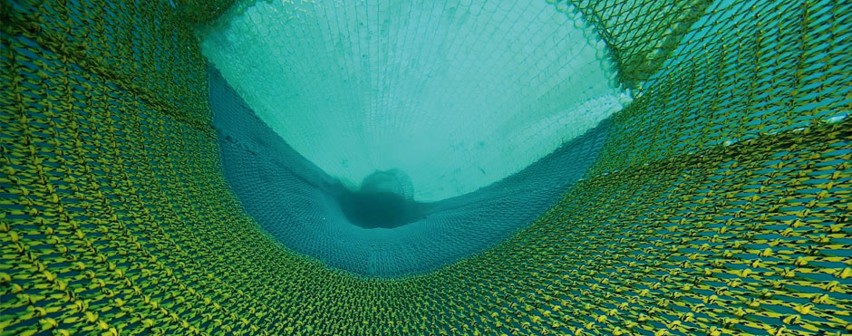 redes de pesca