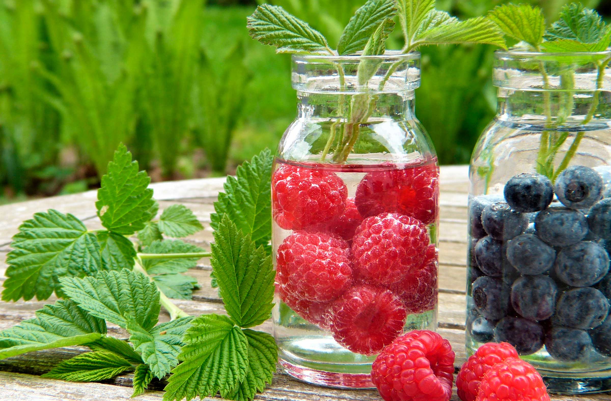 eit-better-frutas-hierbas-azti