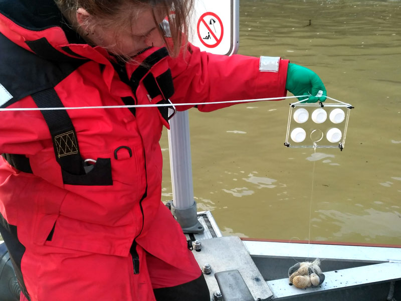 moitool contaminacion marina