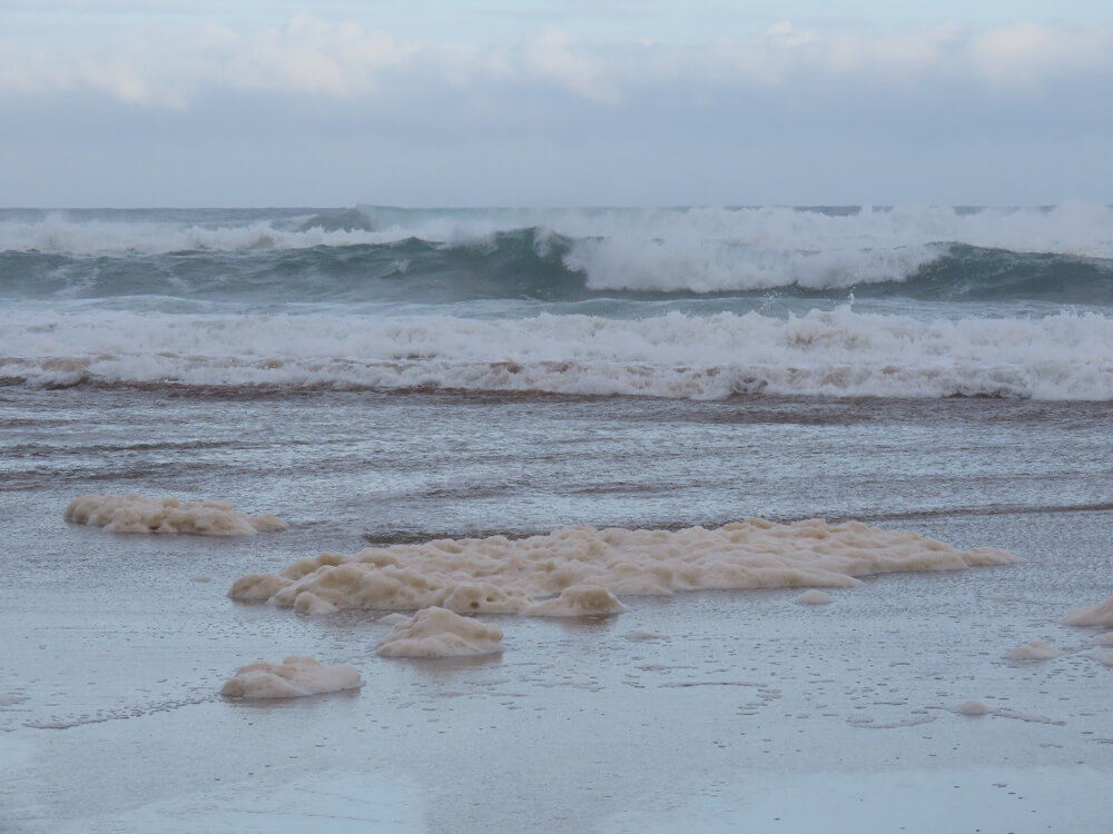 espuma de mar