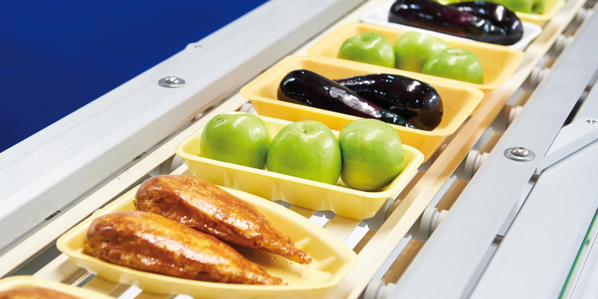 industria de procesamiento de alimentos