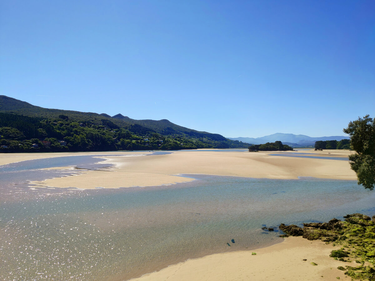 Marismas_del_estuario_Urdaibai
