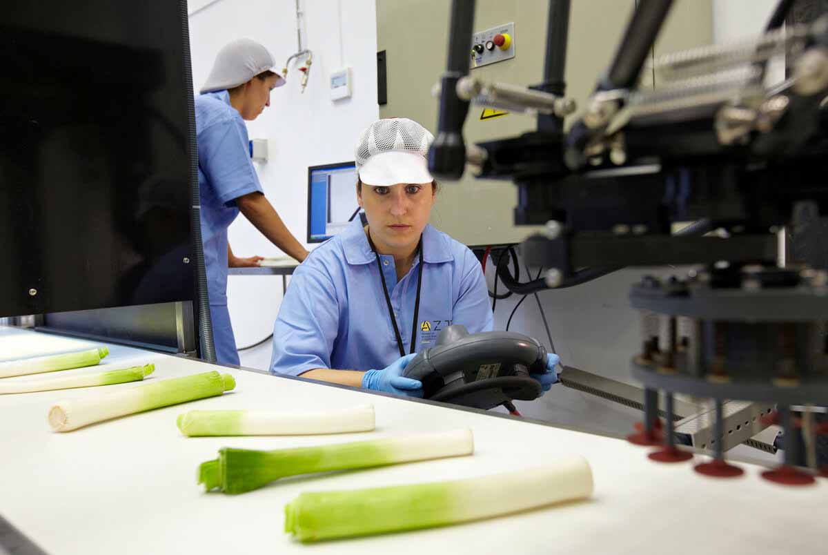 inteligencia artificial y sensórica en la cadena alimentaria