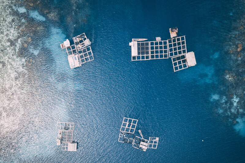 aquaculture-monitoring