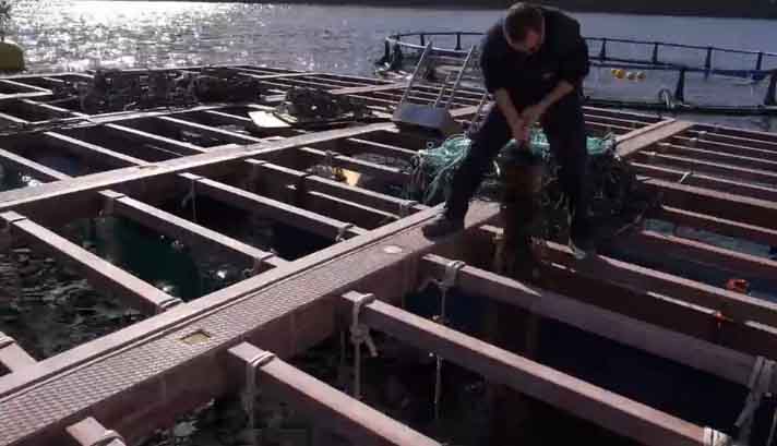 moluscos-protocolos-biosanitarios