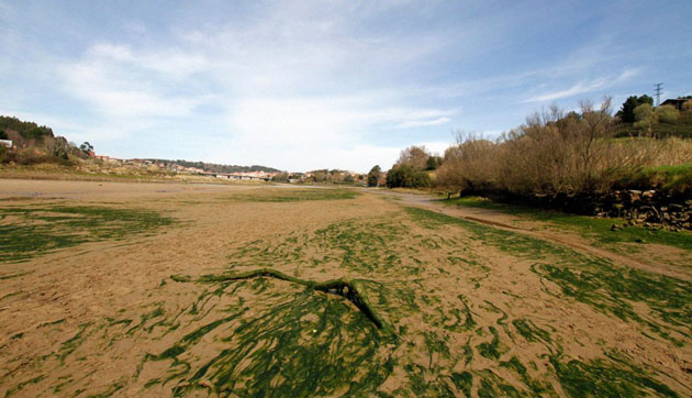 estudios-conservacion-restauracion-gestion-ambiental-mares-costas