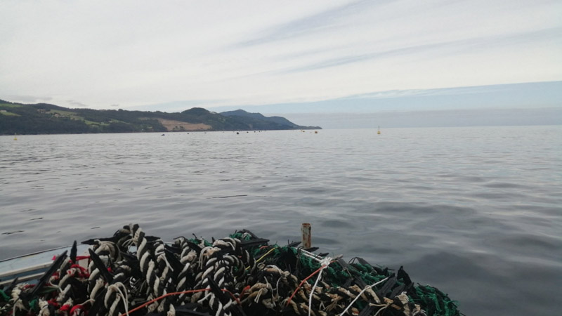 zona_experimental_en_mar abierto