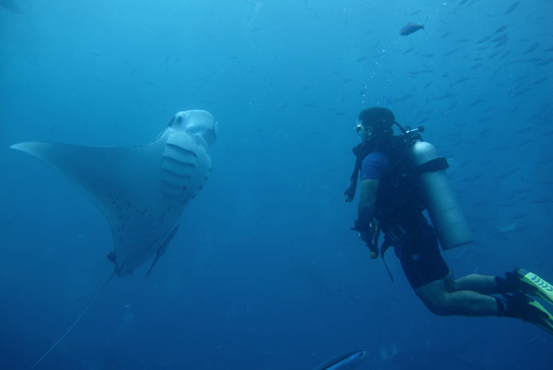 sostenibilidad marina