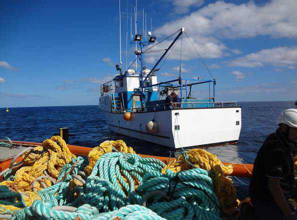 acuicultura_marina