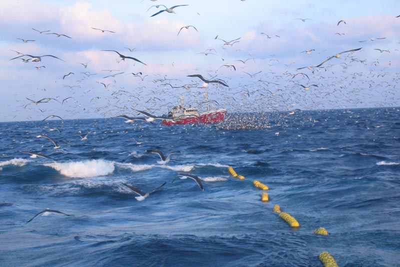 digitalizacion_pesca_sostenible