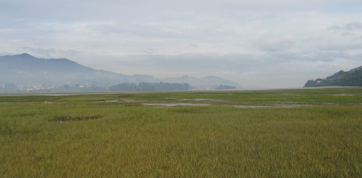 Praderas_marinas-Blue-EcoSystems