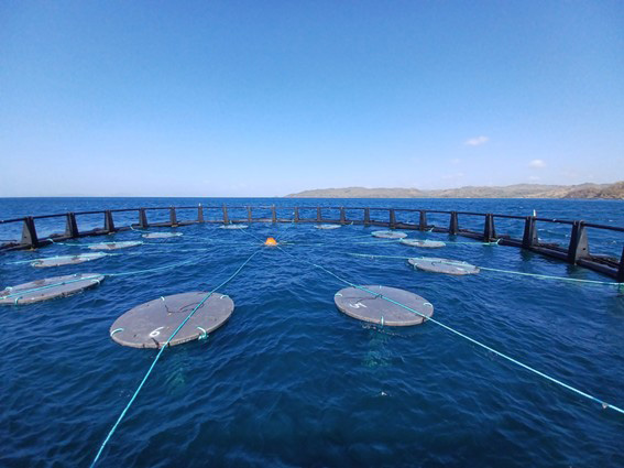 materiales_biodegradables_pesca_sostenible