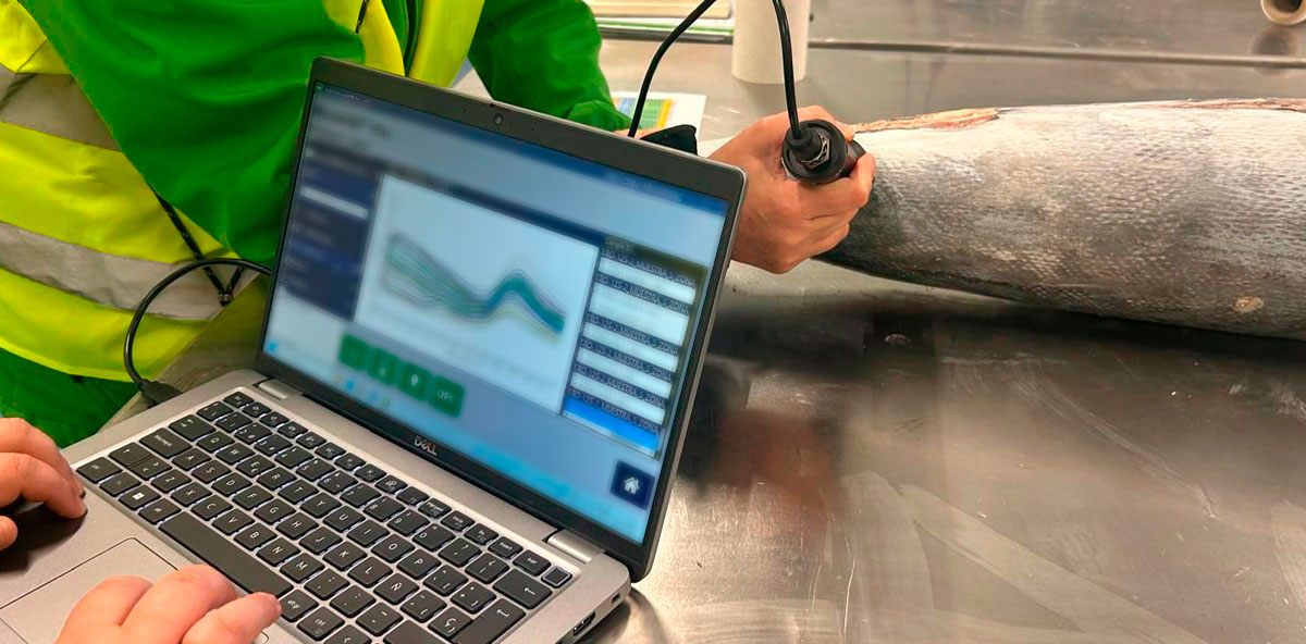 sensorica-NIR-identificacion-marlines