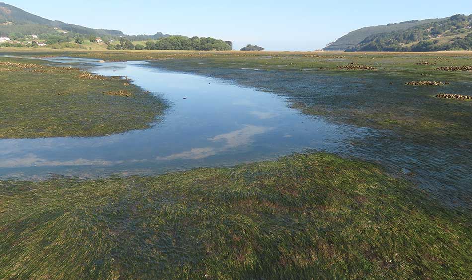 carbono_azul_euskadi