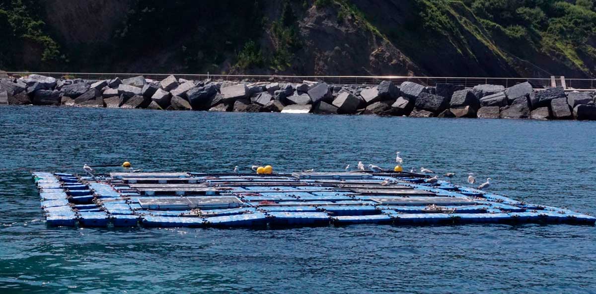 PLANTAS_FOTOVOLTAICAS_MARINAS_SOSTENIBLES