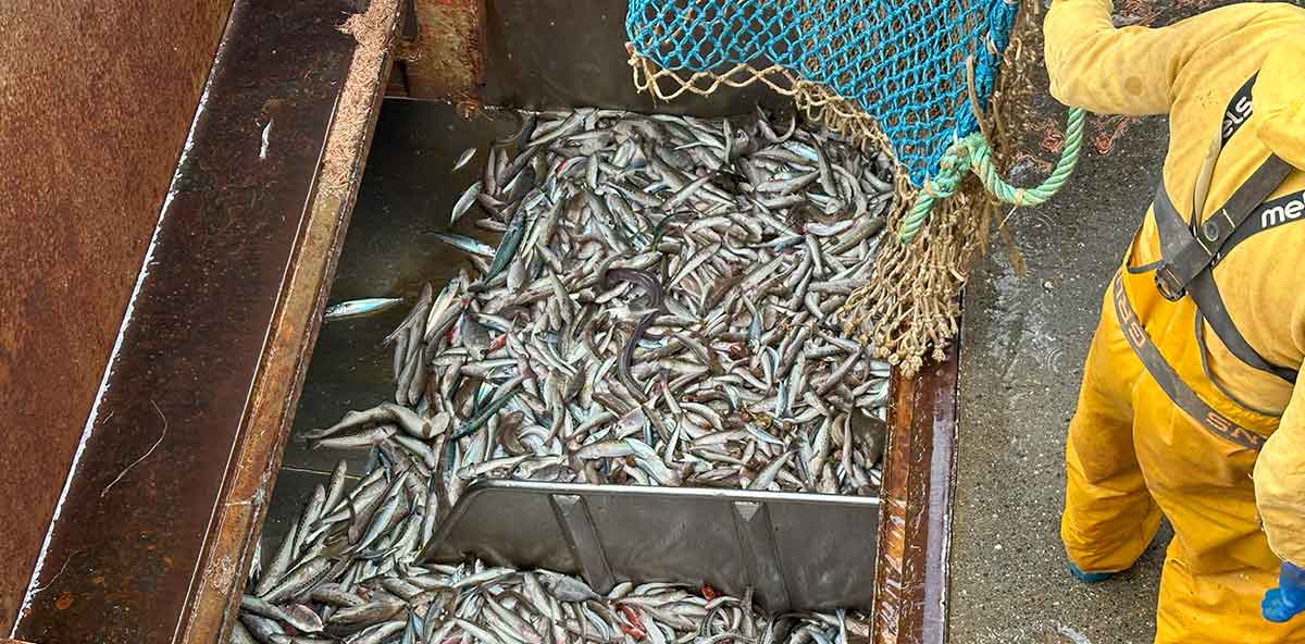 descartes-pesqueros-en-la-flota-vasca