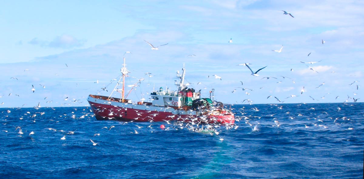 enfoque-ecosistemico-en-la-gestion-pesquera