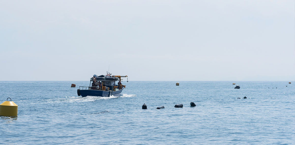 acuicultura sostenible mar abierto
