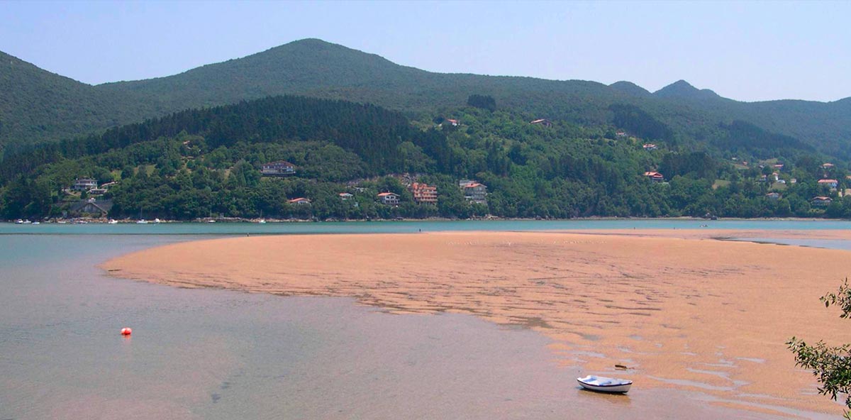 asesoria_DMEM_Euskadi