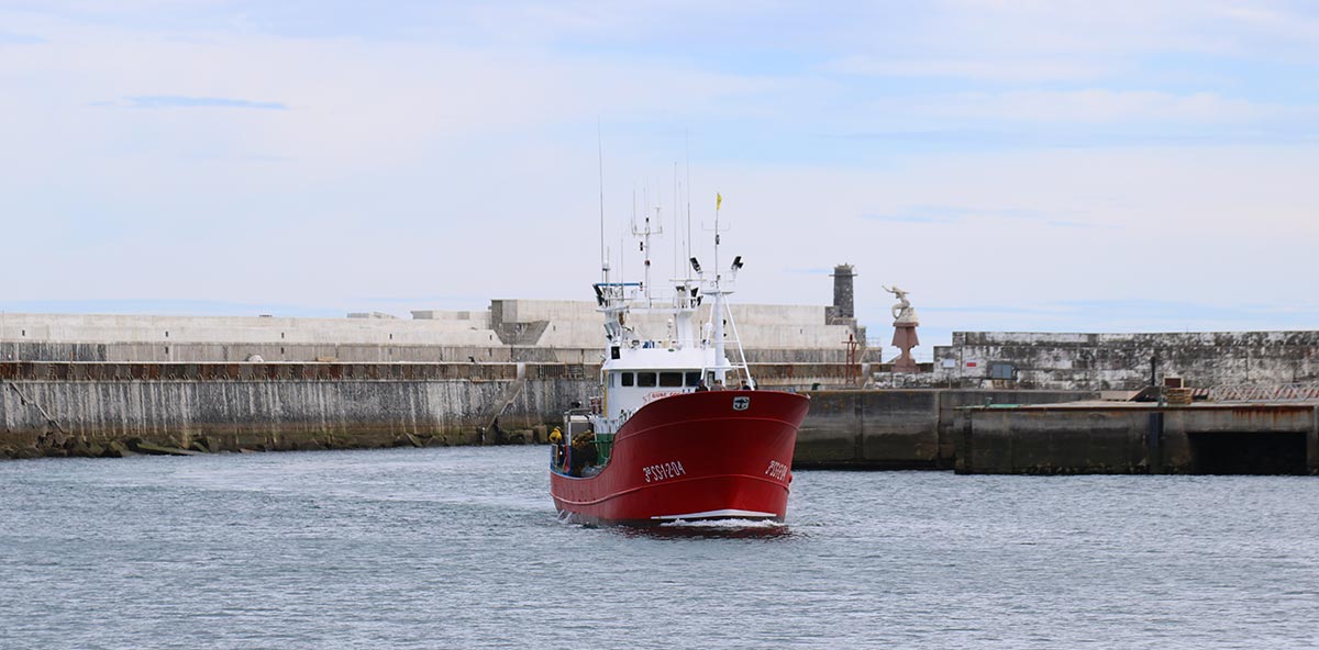 pesquerias-demersales-del-País-Vasco