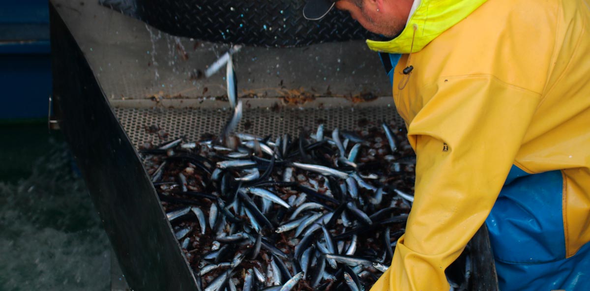 pesquerias_pelagicas