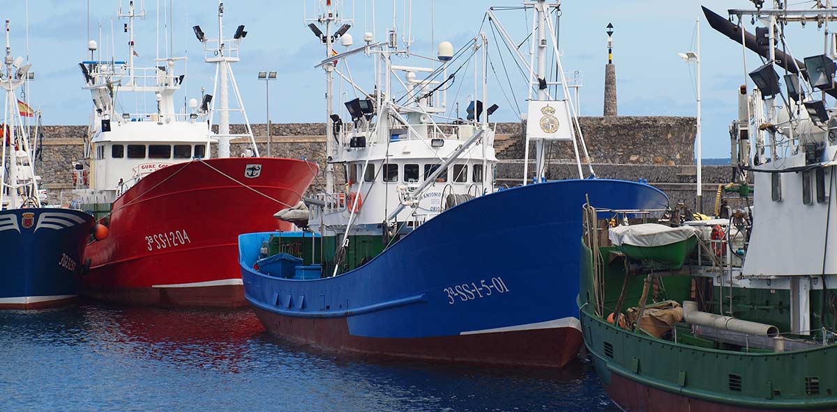 recogida-de-datos-pesqueros